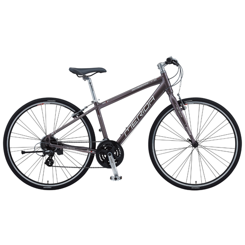 CROSSWAY BREEZE TFS 100R 2012�N���f�� [�N���V�b�N�V���o�[]